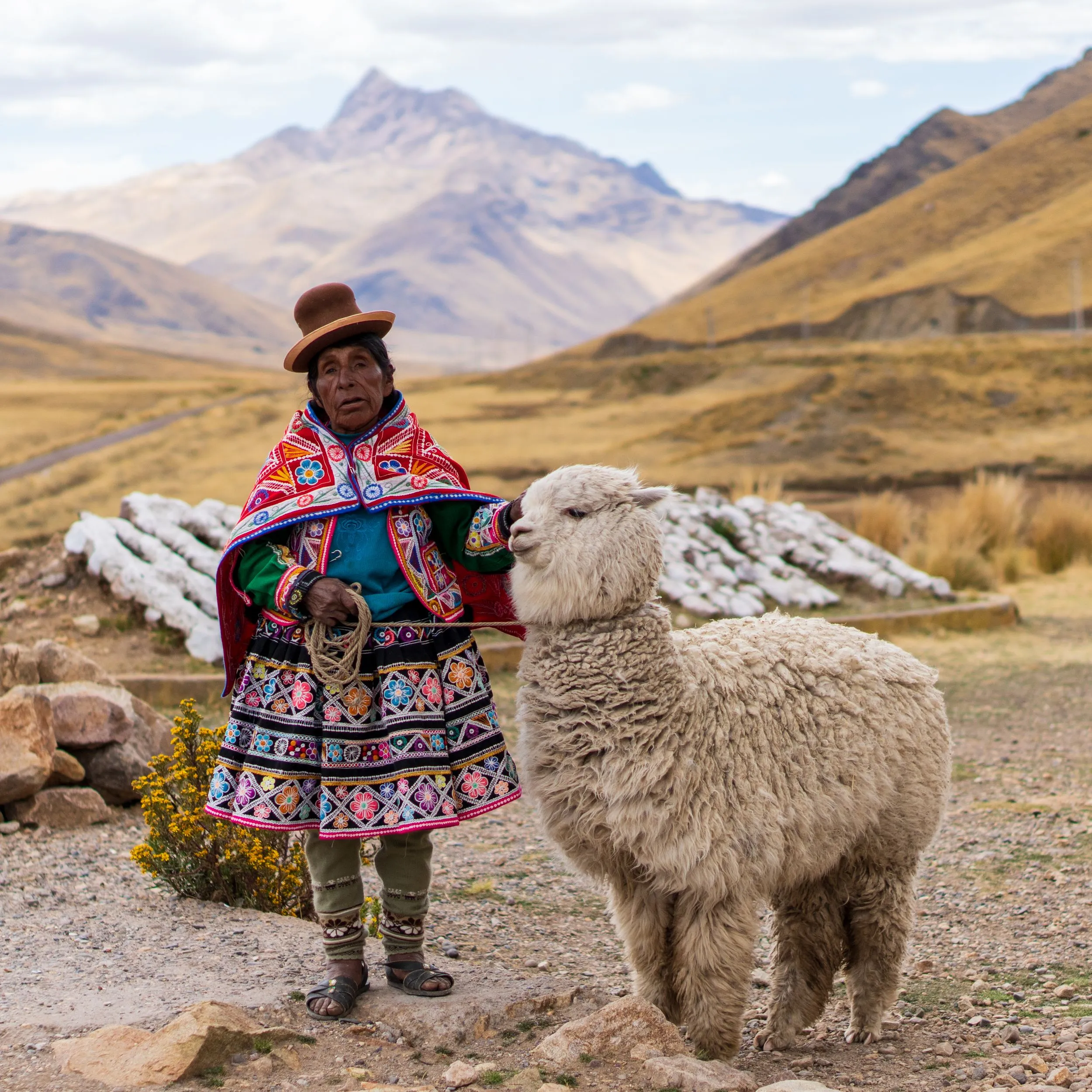 Andean woman in traditional embroidered dress and hat standing with a white alpaca