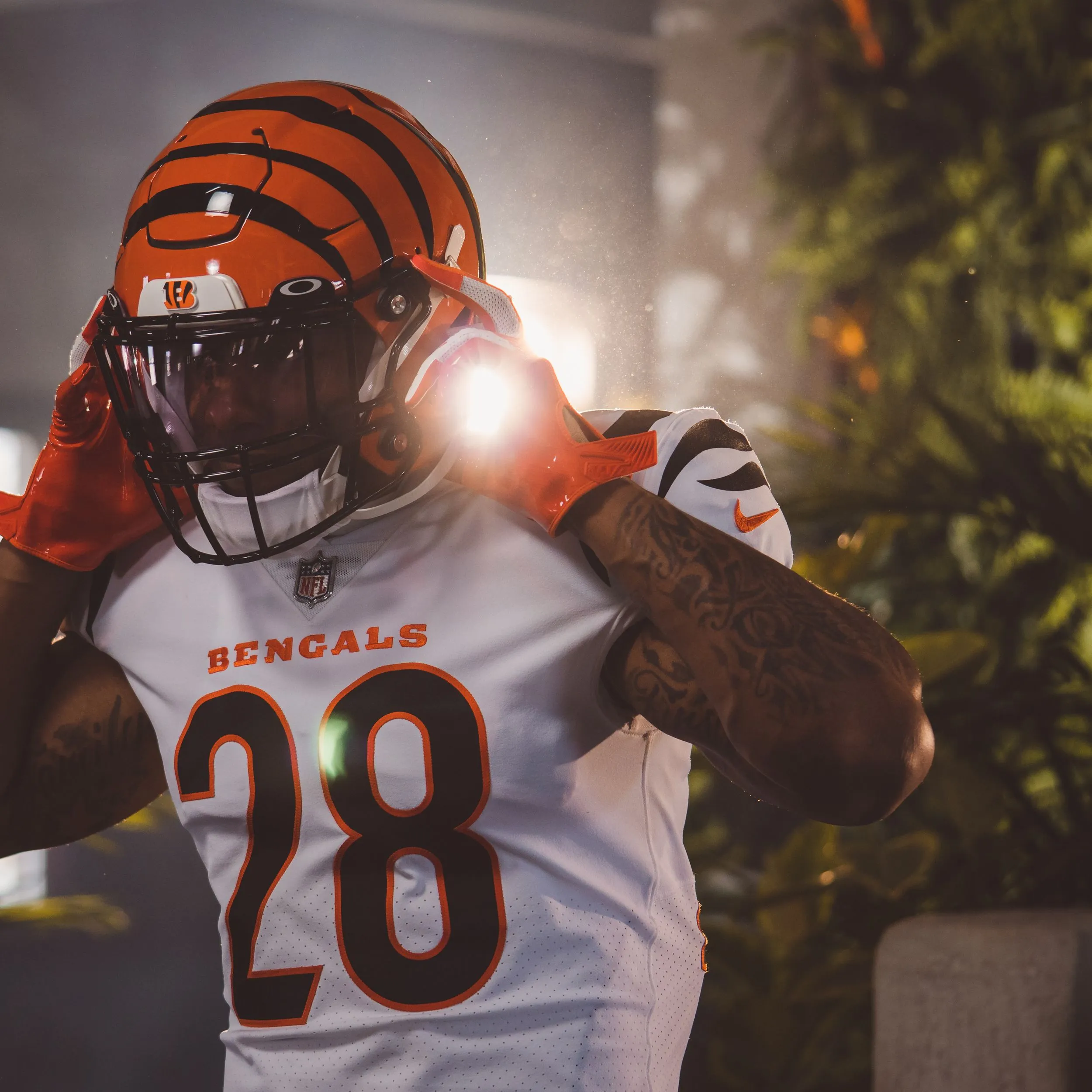 Cincinnati Bengals — sports portrait