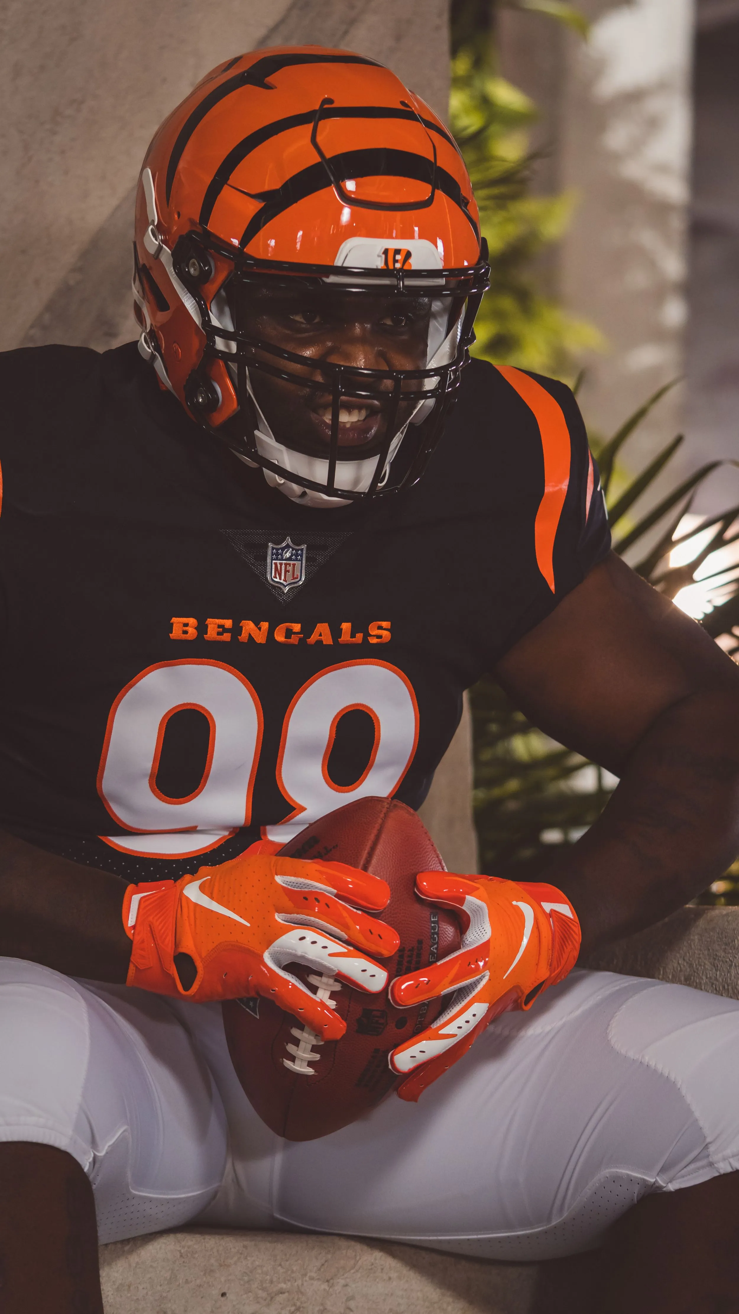 Cincinnati Bengals — sports portrait