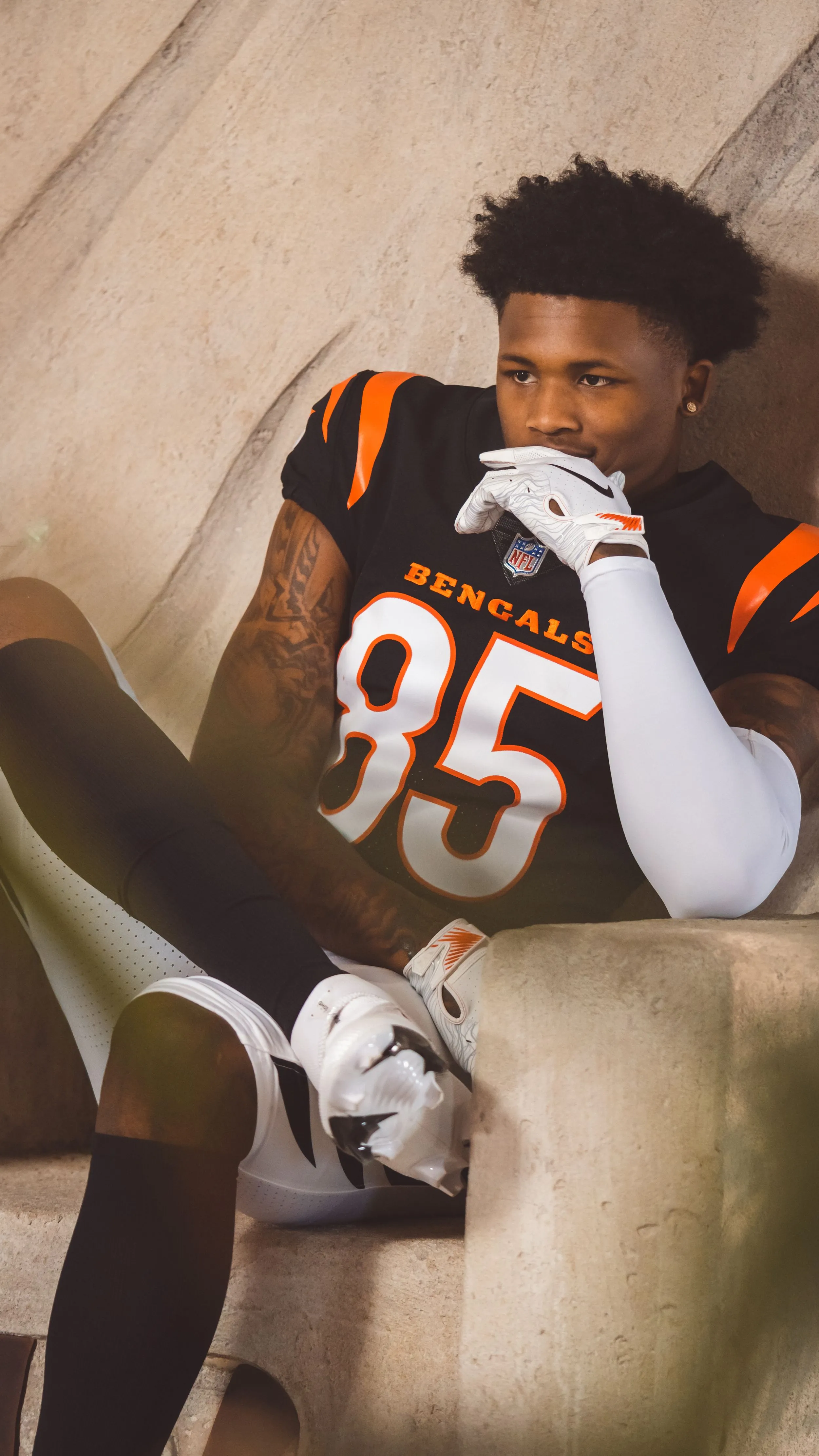 Cincinnati Bengals — sports portrait