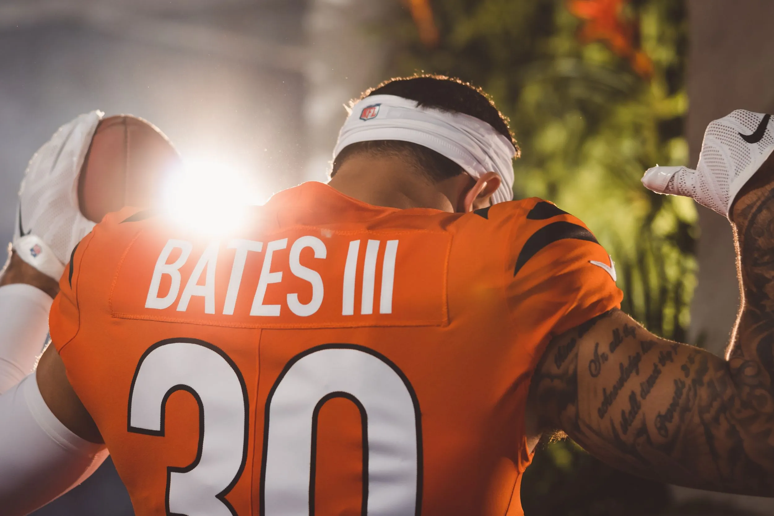 Cincinnati Bengals — sports portrait