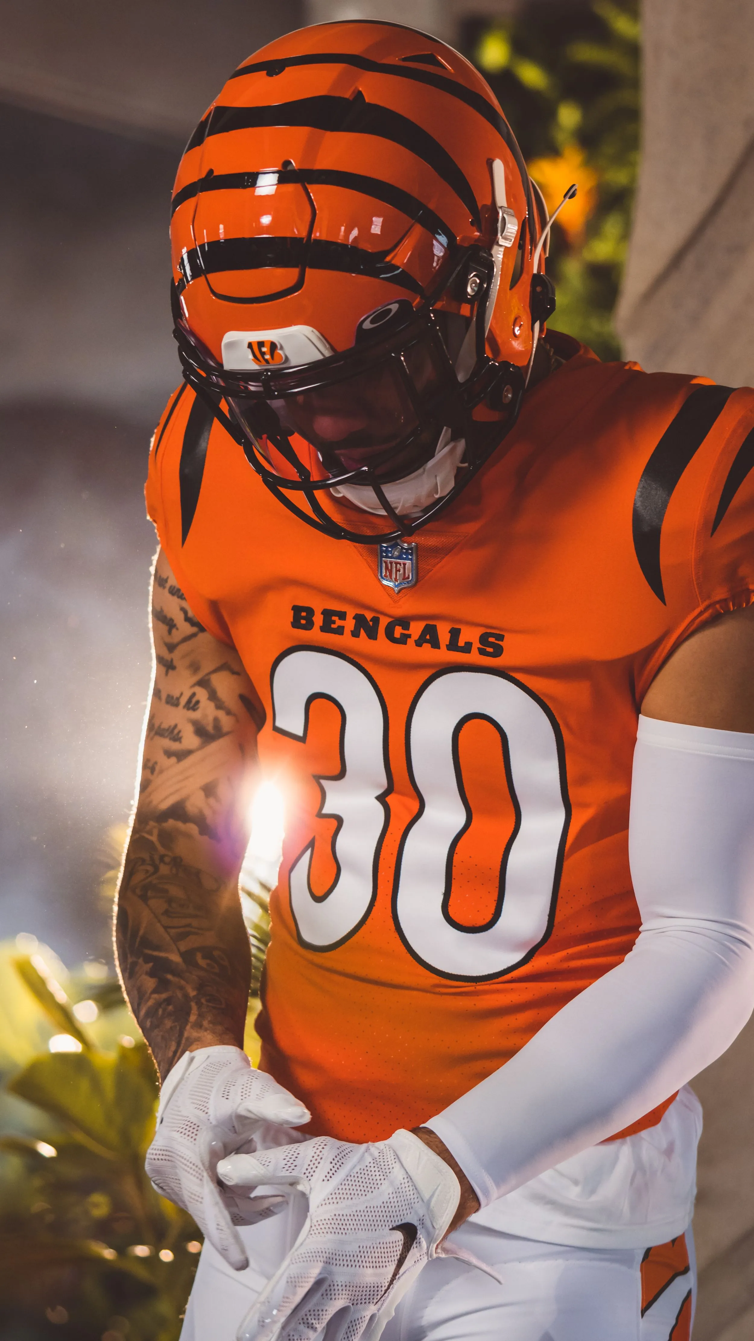 Cincinnati Bengals — sports portrait